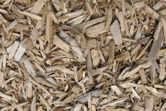 biomass boilers Gallowfauld